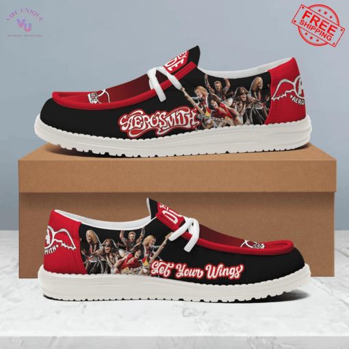 Aerosmith Limited Edition Loafer Shoes