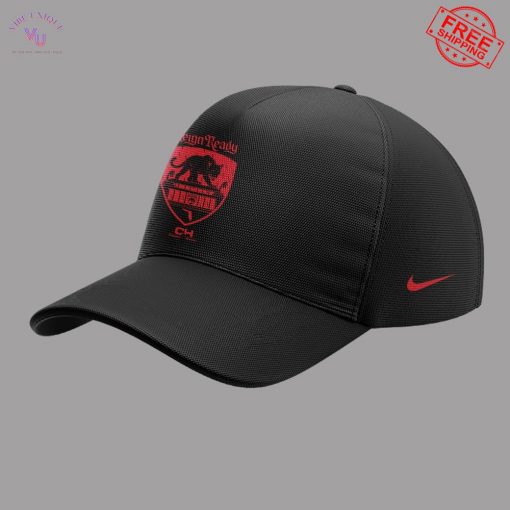Florida Panthers Reign Ready 2025 Limited Merch Collection