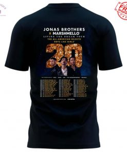 Red Sox x Jonas Brothers Fenway Park Limited T Shirt 3